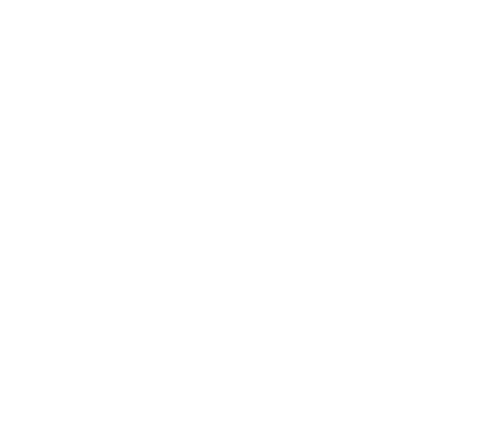 Electric Theatre Collective